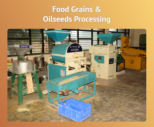 Image of Food Grains & Oilseeds Processing