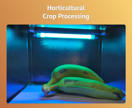 Image of Horticultural Crop Processing